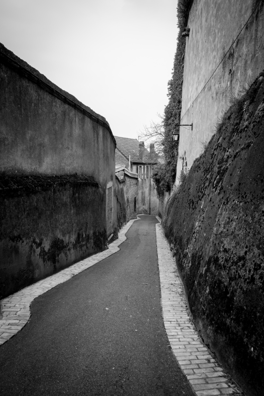 2013 03 26 Gray DSCF0822